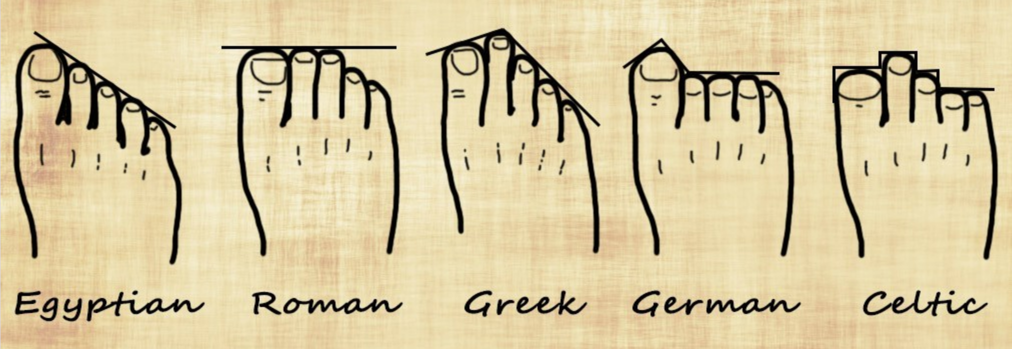 Foot Shape Ancestry