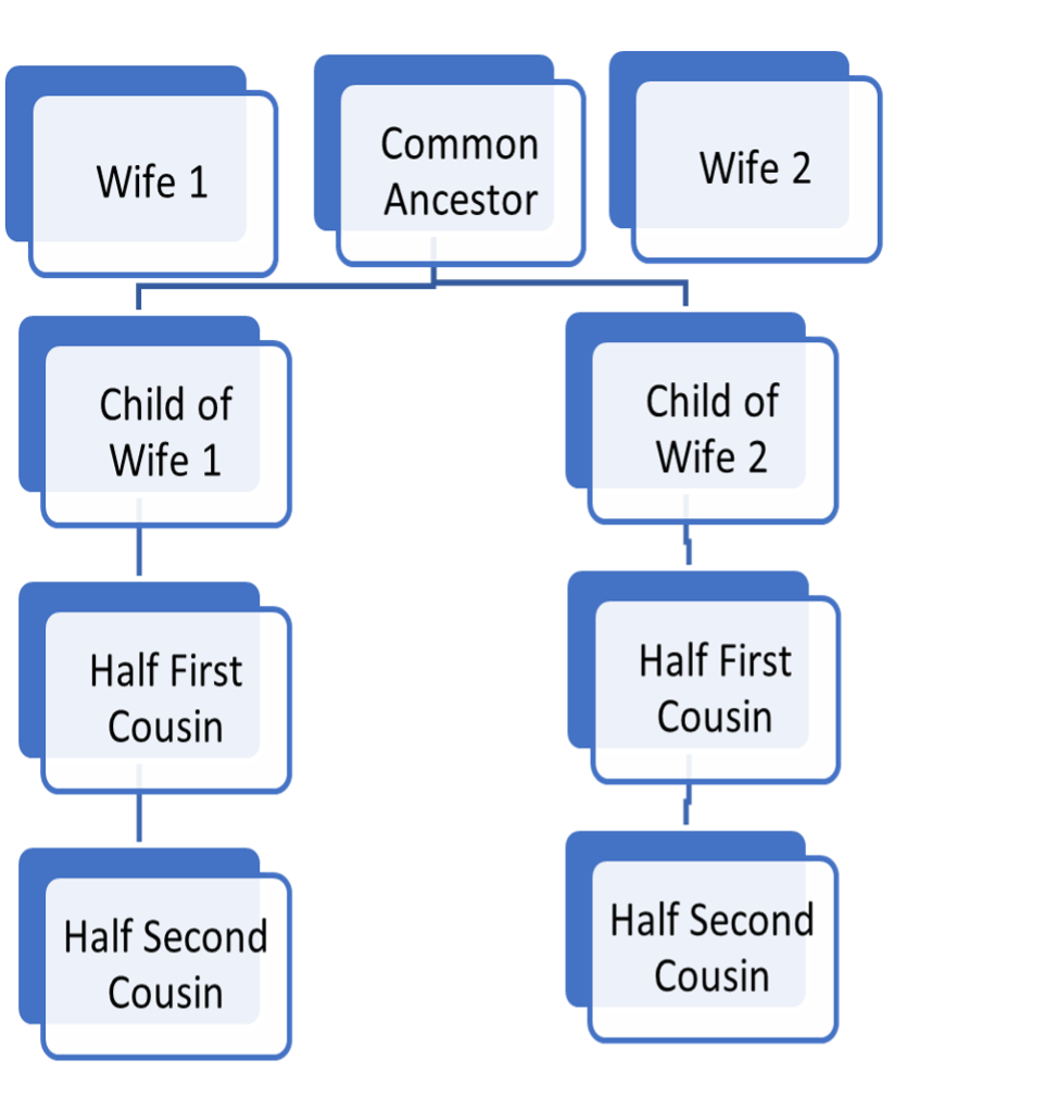 is the child of a first cousin a second cousin